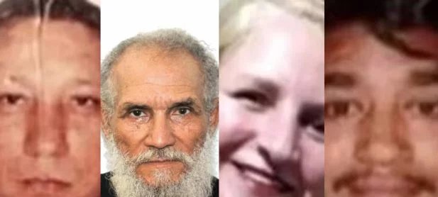 Estudante admite envenenar 14 cães com chumbinho em Guarulhos; vídeo mostra risos durante depoimento - Imagem do artigo