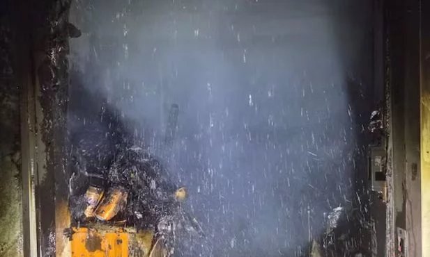 Tentativa de exterminar barata com spray e isqueiro causa incêndio fatal na Coreia do Sul - Imagem do artigo