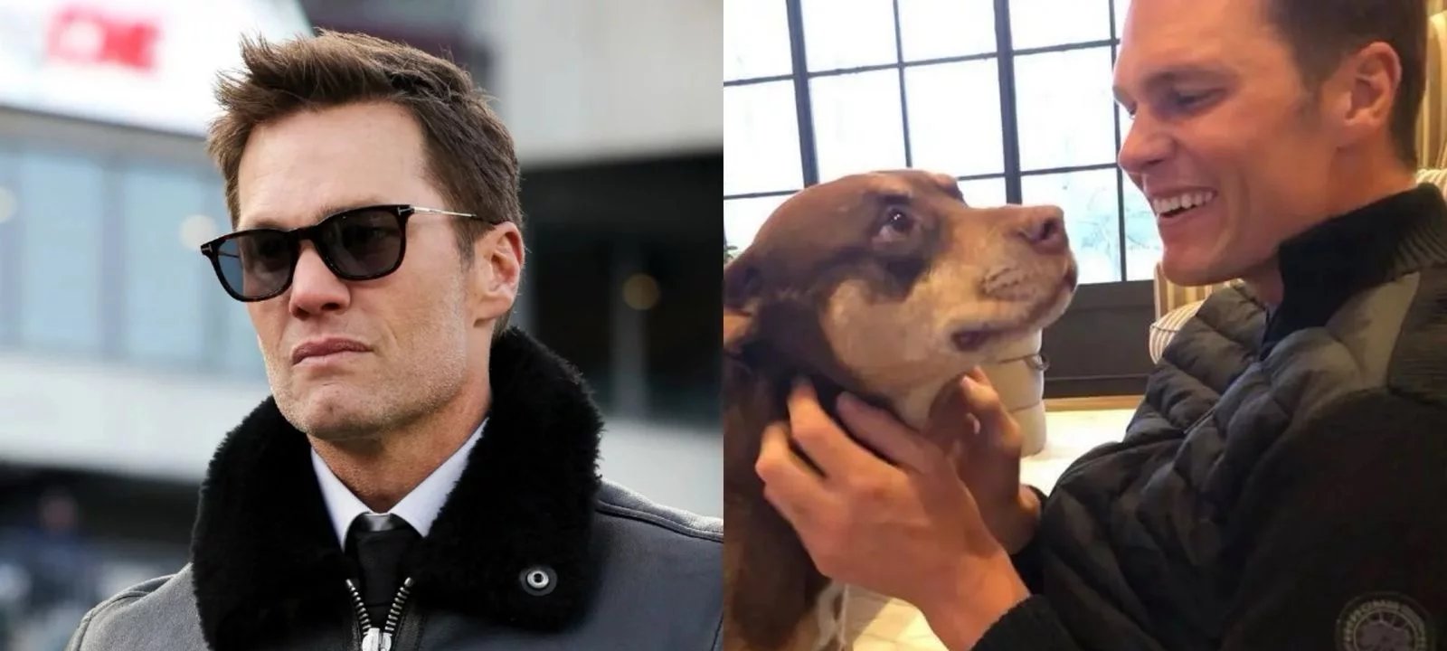 Tom Brady revela que nova cadela é clone da antiga pet, Lua - Imagem do artigo